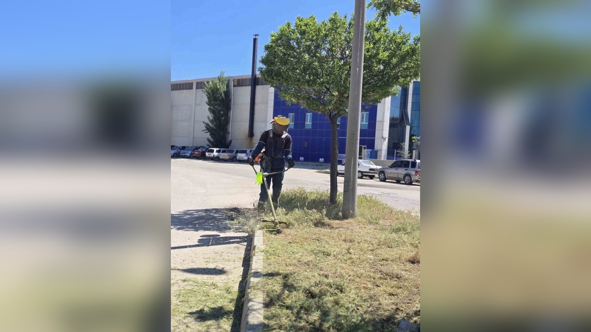 Afyonkarahisar OSB'de yeşil alan çalışmaları ve kaldırım yenilemesi