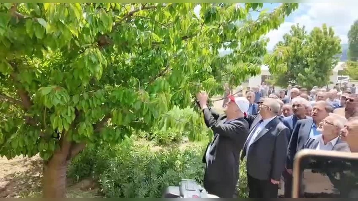 TZOB Başkanı Bayraktar: 65 ilde don afeti yaşandı