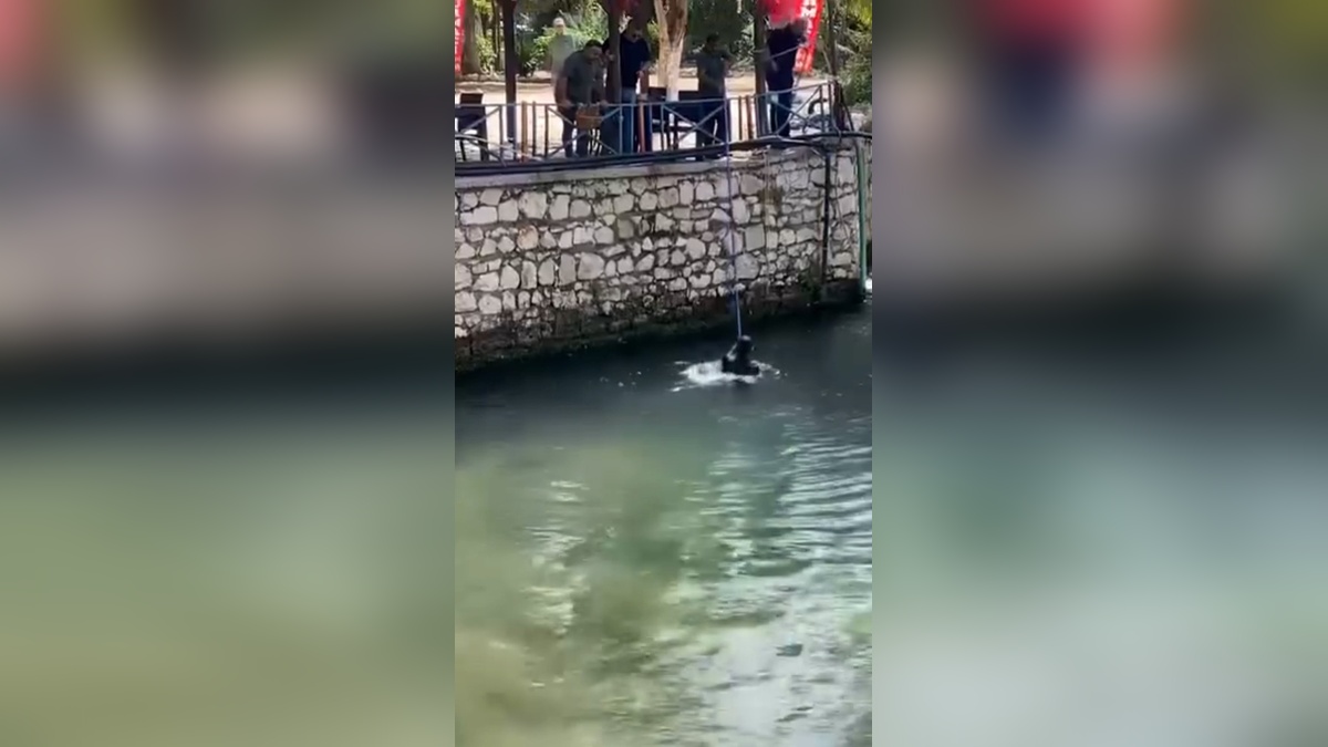 Antalya'da kimliksiz Suriyeli, polis görünce dereye atladı