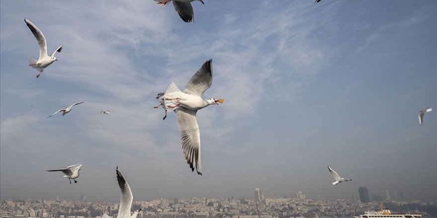 Marmara Bölgesi'nde az bulutlu ve açık hava bekleniyor
