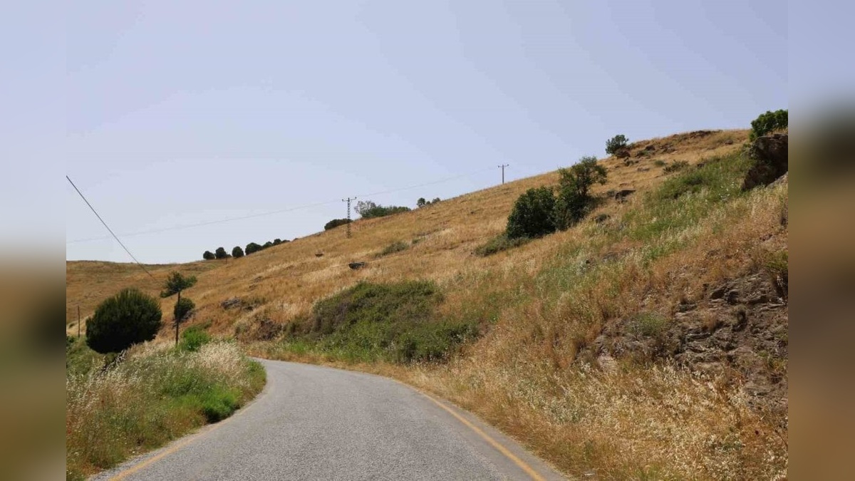 Aydın'da meralar boş kaldı: Yangın riski arttı