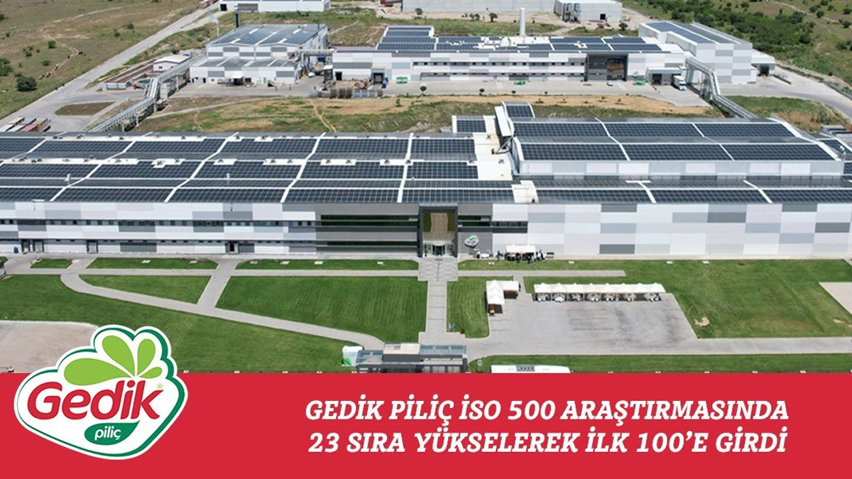 Gedik Piliç ilk 100'de