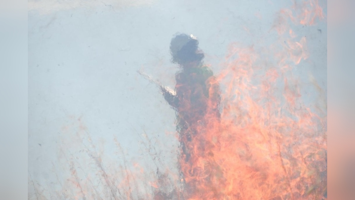 Bodrum'da ot yangını söndürüldü