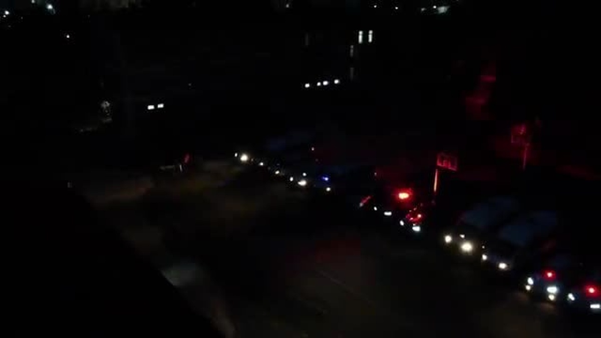 Diyarbakır'da 3 milyon 476 bin kök kenevir ele geçirildi