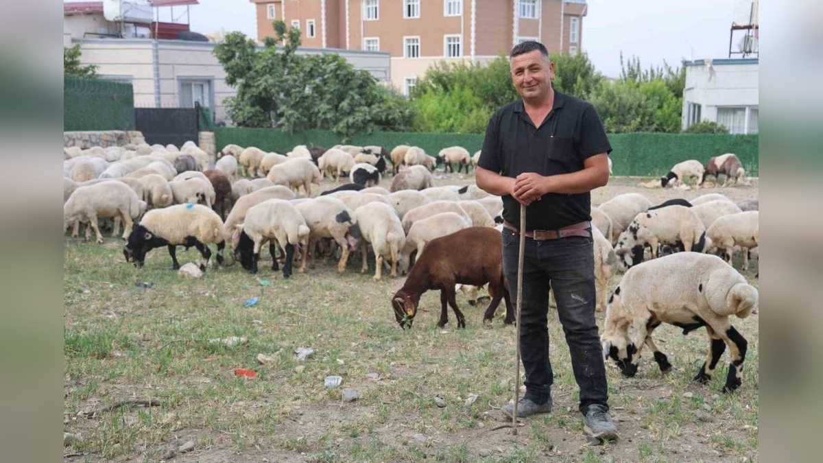 Hatay'da kurbanlık fiyatları 12 bin TL ile 28 bin TL arasında