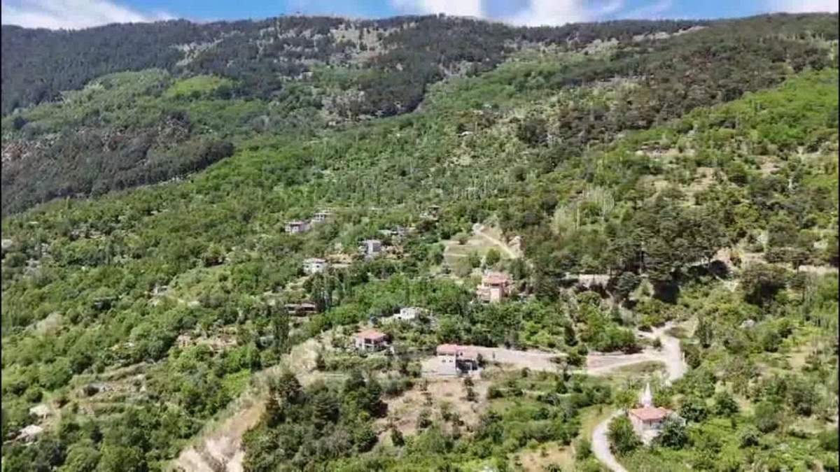 Aydın'da res projesine çevrecilerden tepki: 'Doğayı talan ettirmeyeceğiz'