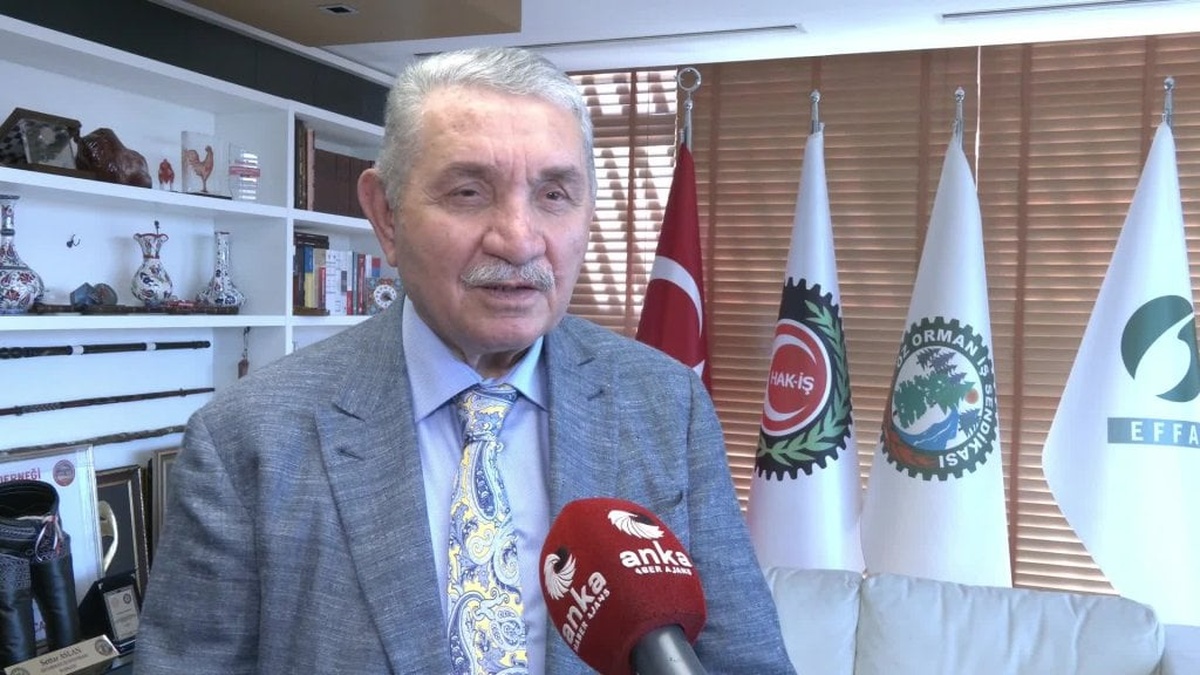 Öz Orman-İş Sendikası Başkanı Aslan'dan orman yangınları uyarısı: 'Tedbir alalım'