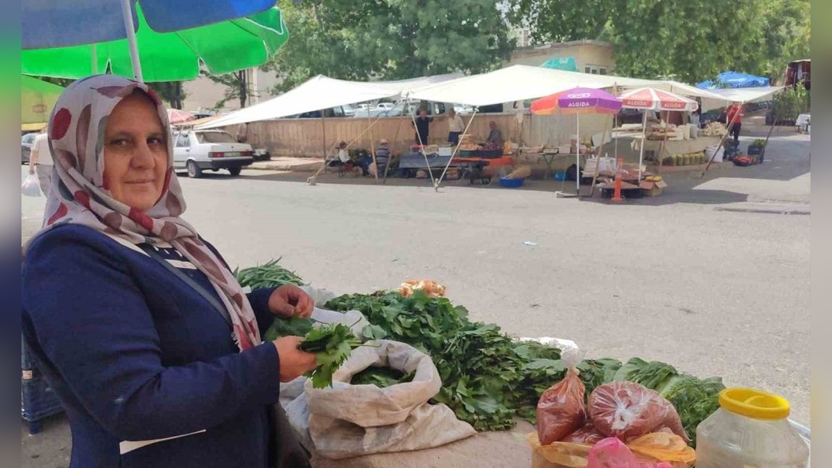 Kahramanmaraş'ta 5 çocuk annesi asma yaprağı satarak ailesine destek oluyor