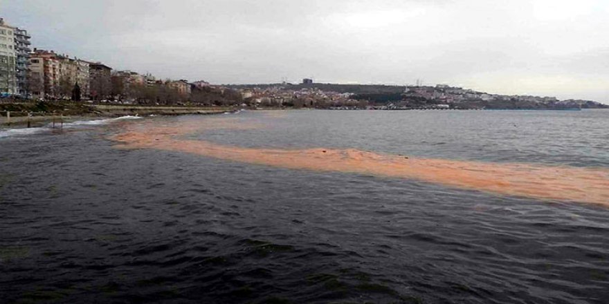 Tekirdağ'da deniz turuncu renge büründü