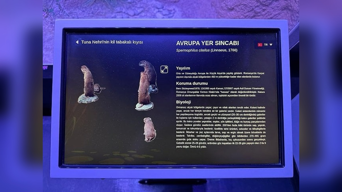 Rehberim Türkçe Projesi, Bükreş'teki Grigore Antipa Müzesi'nde hayata geçti