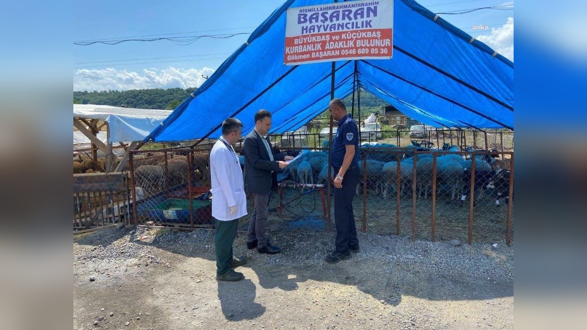Ereğli Belediyesi'nden Kurban Bayramı hazırlıkları: 200 büyükbaş, bin 900 küçükbaş satışta