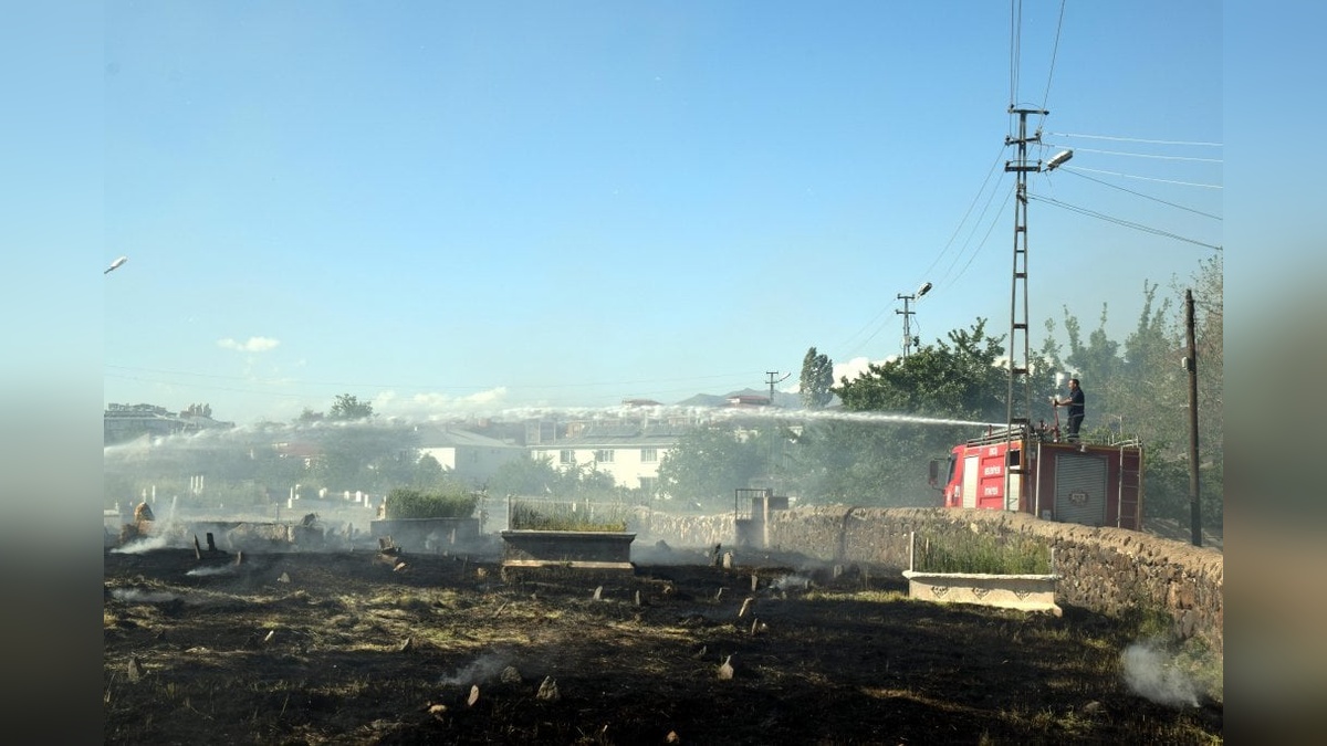 Erciş'te mezarlık yangını: 2 bin metrekare alan zarar gördü