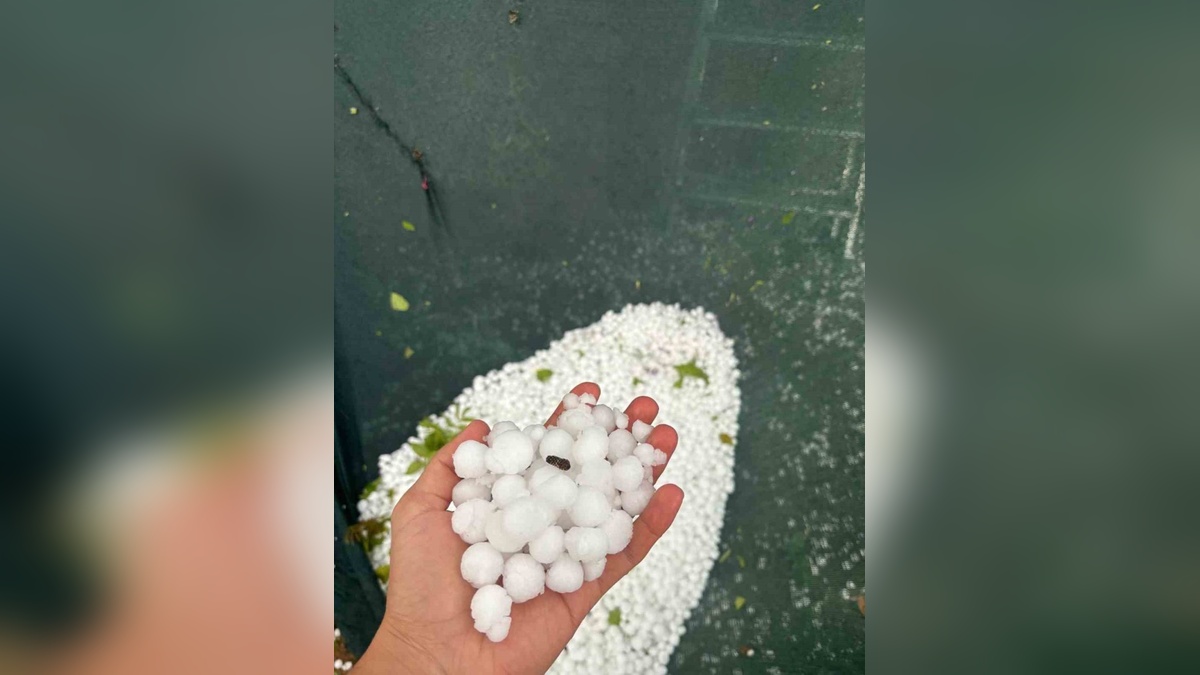 Elazığ'ın yüksek kesimlerinde dolu yağışı: Bazı tarım alanlarında zarar oluştu