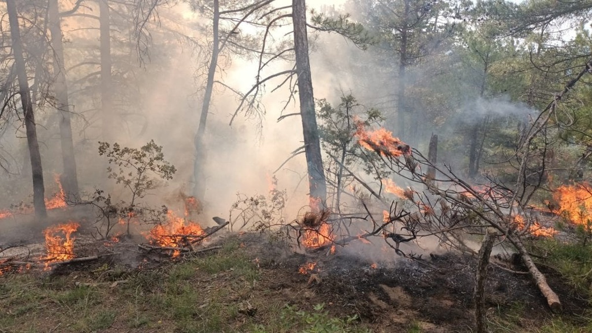 Göynük'te yıldırım düşmesi sonucu çıkan orman yangını söndürüldü