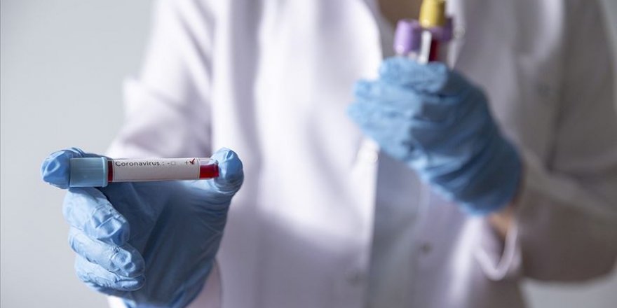 KKTC'de okullar koronavirüs nedeniyle tatil edildi