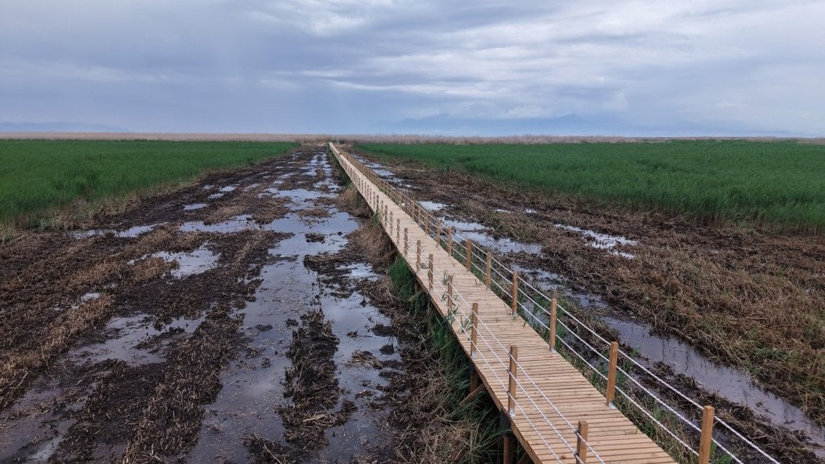 Kayseri Büyükşehir Belediyesi Sultan Sazlığı'ndaki 600 metrelik yürüyüş yolunu yeniledi
