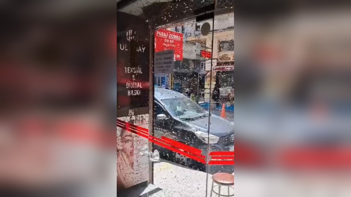 Bursa'da iş hanına arı oğul verdi: Çalışanlar bir saat beklemek zorunda kaldı