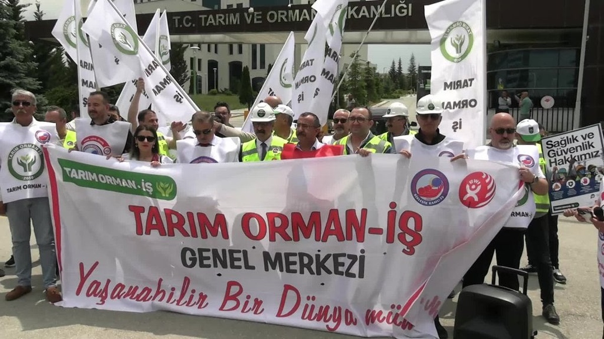 Birleşik Kamu-İş'ten toplu sözleşme öncesi açıklama: 'Varoluş mücadelesi veriyoruz'