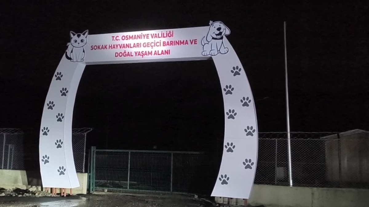 Osmaniye'de yapım aşamasındaki köpek barınağı yağmurda sular altında kaldı