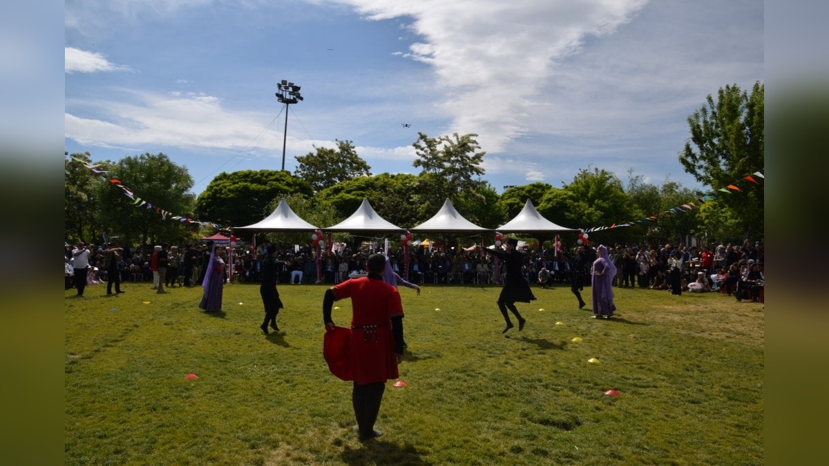 Erciş'te 12. Uluslararası İnci Kefali Göçü Kültür ve Sanat Festivali başladı