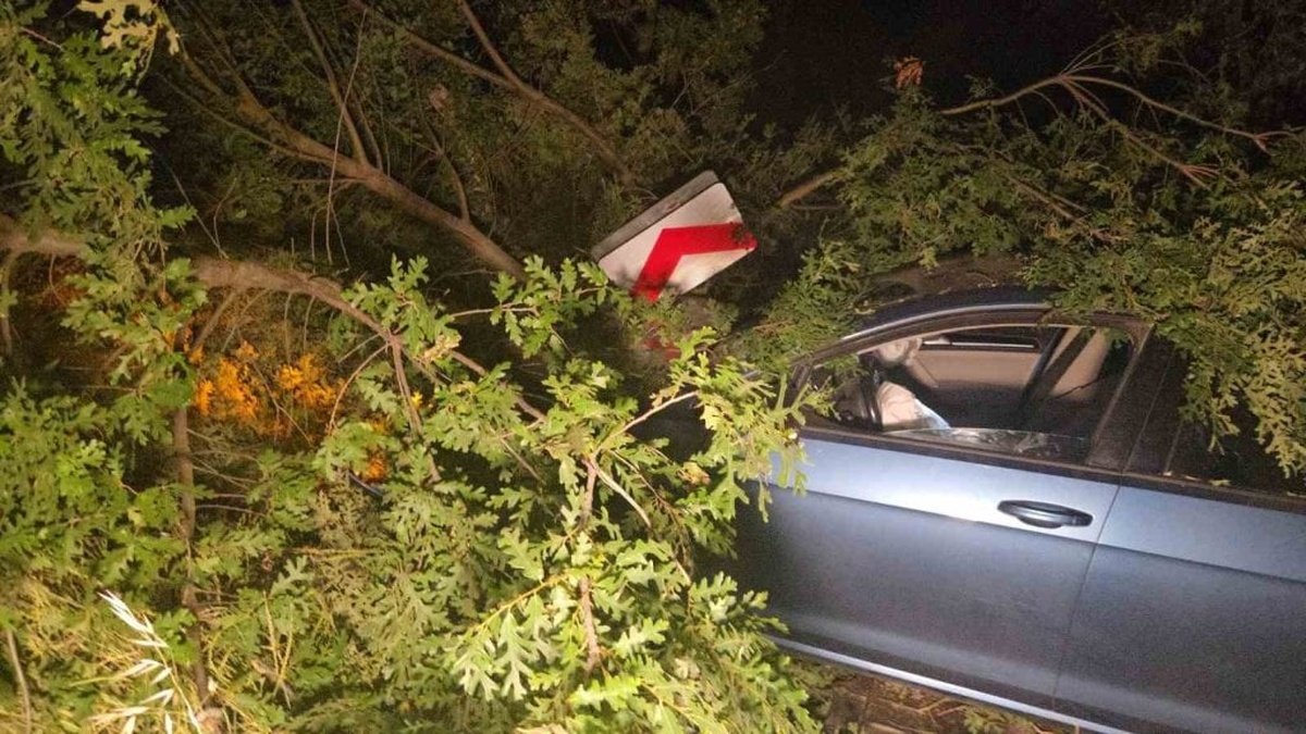 Bursa'da trafik kazası: Motosiklet sürücüsü yaralandı