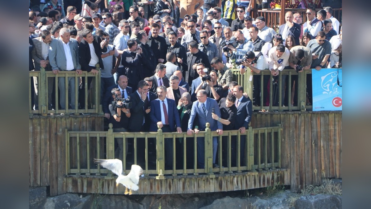 Milli Eğitim Bakanı Tekin, İnci Kefali Göçü Festivali’ne katıldı