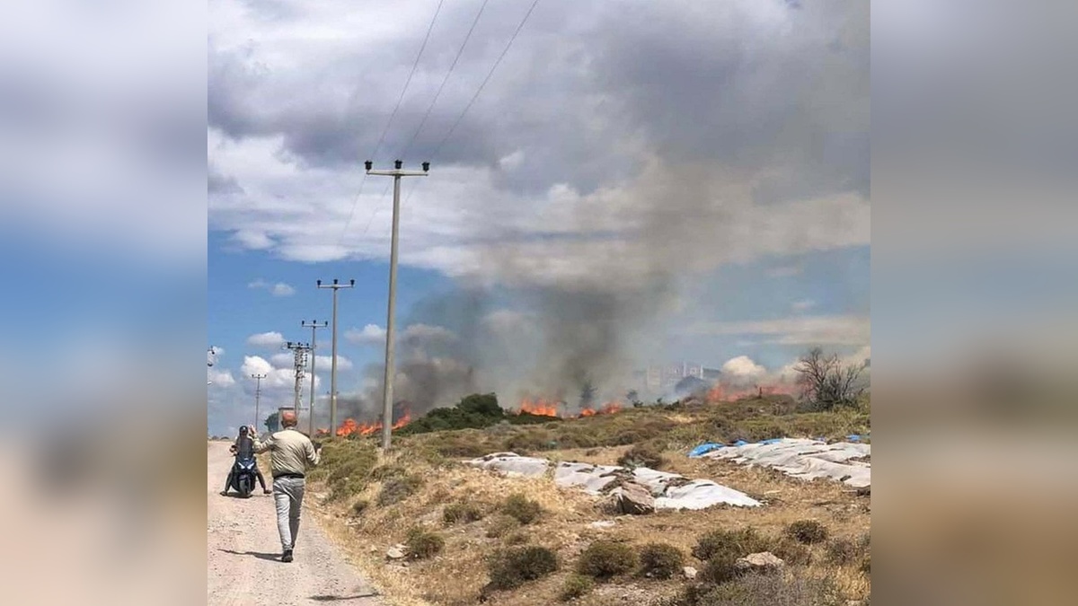 Ayvacık'ta otluk yangını 1,5 saatte kontrol altına alındı