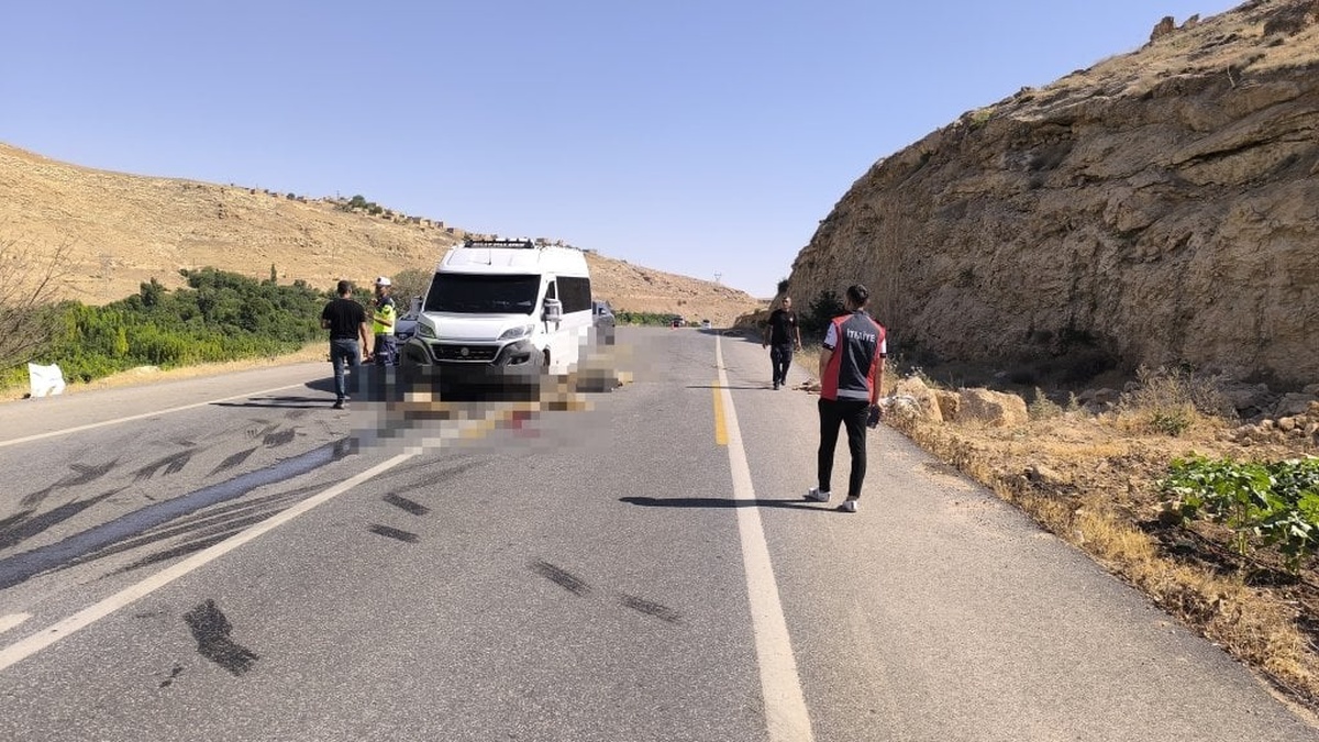 Nusaybin'de minibüsün çarptığı 13 küçükbaş hayvan öldü