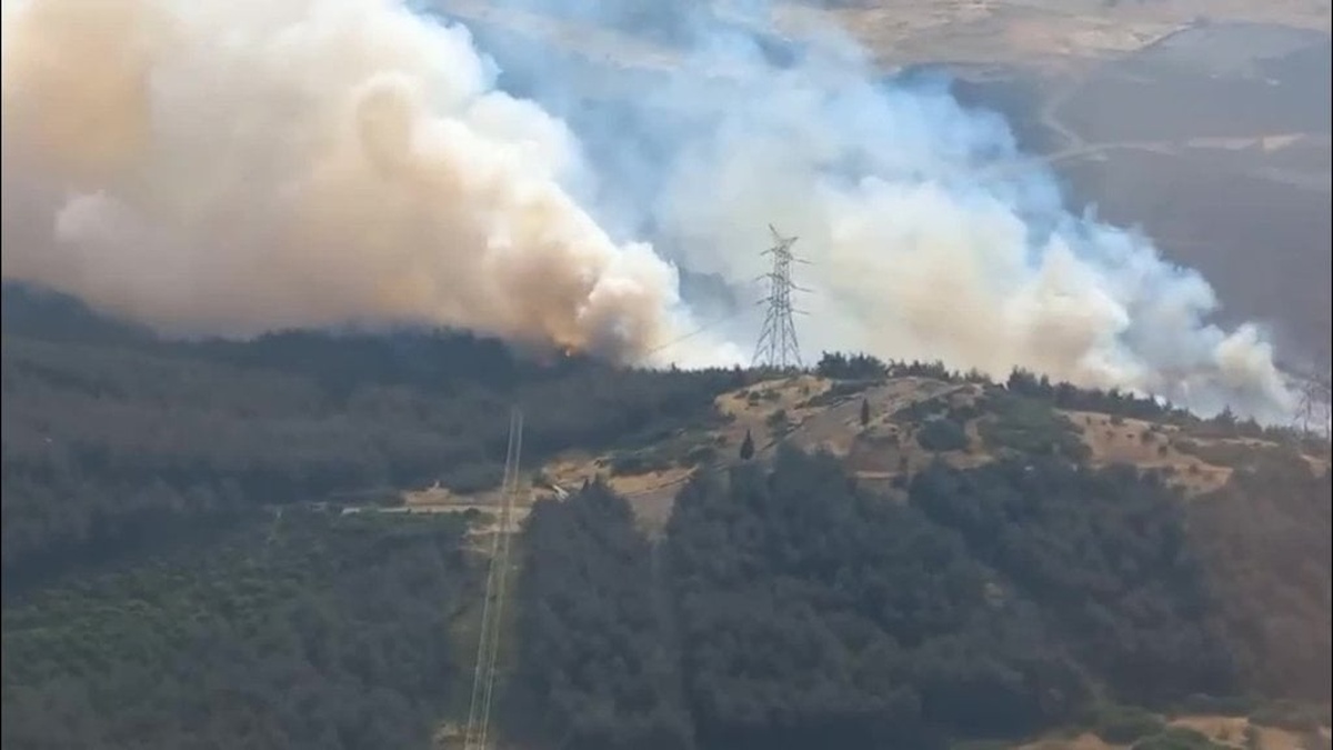 İzmir Aliağa'da orman yangınına müdahale sürüyor