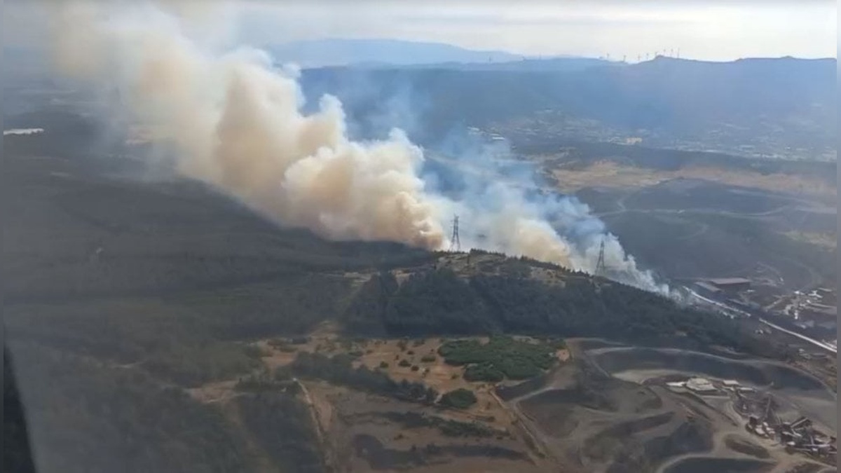 İzmir Aliağa'da orman yangını: Havadan ve karadan müdahale sürüyor