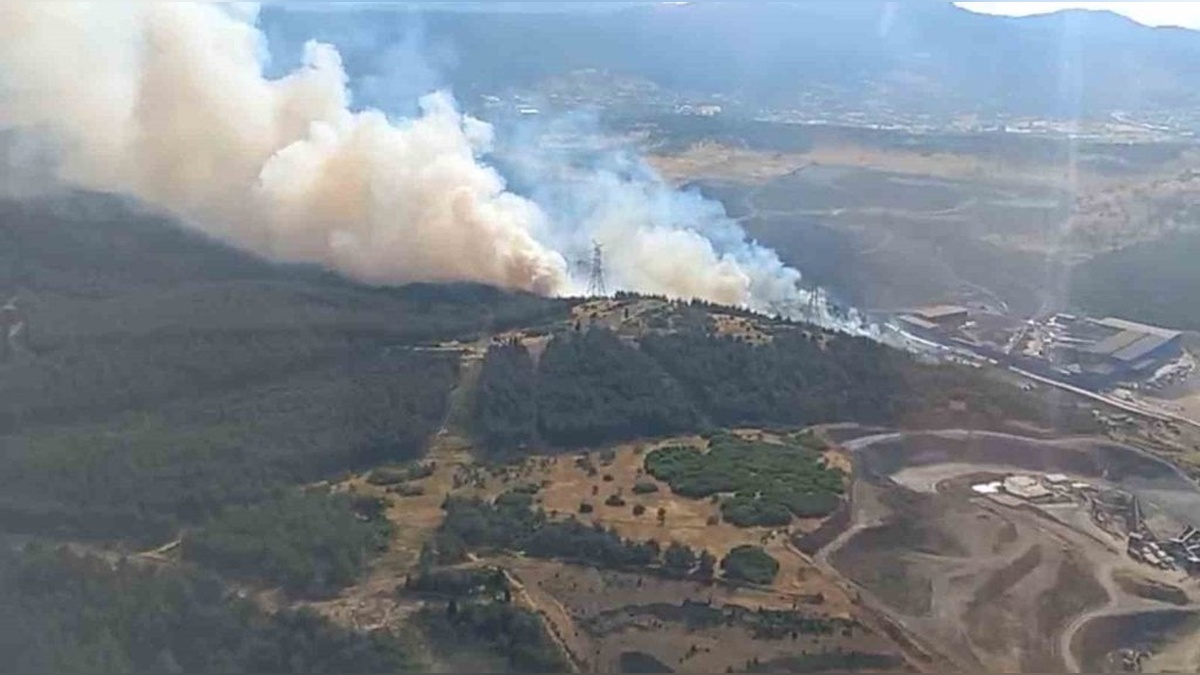 İzmir Aliağa'da orman yangını: Ekipler havadan ve karadan müdahale ediyor