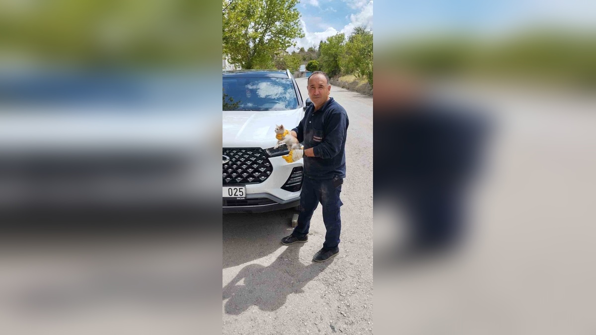 Sungurlu'da park halindeki cipte mahsur kalan kedi kurtarıldı