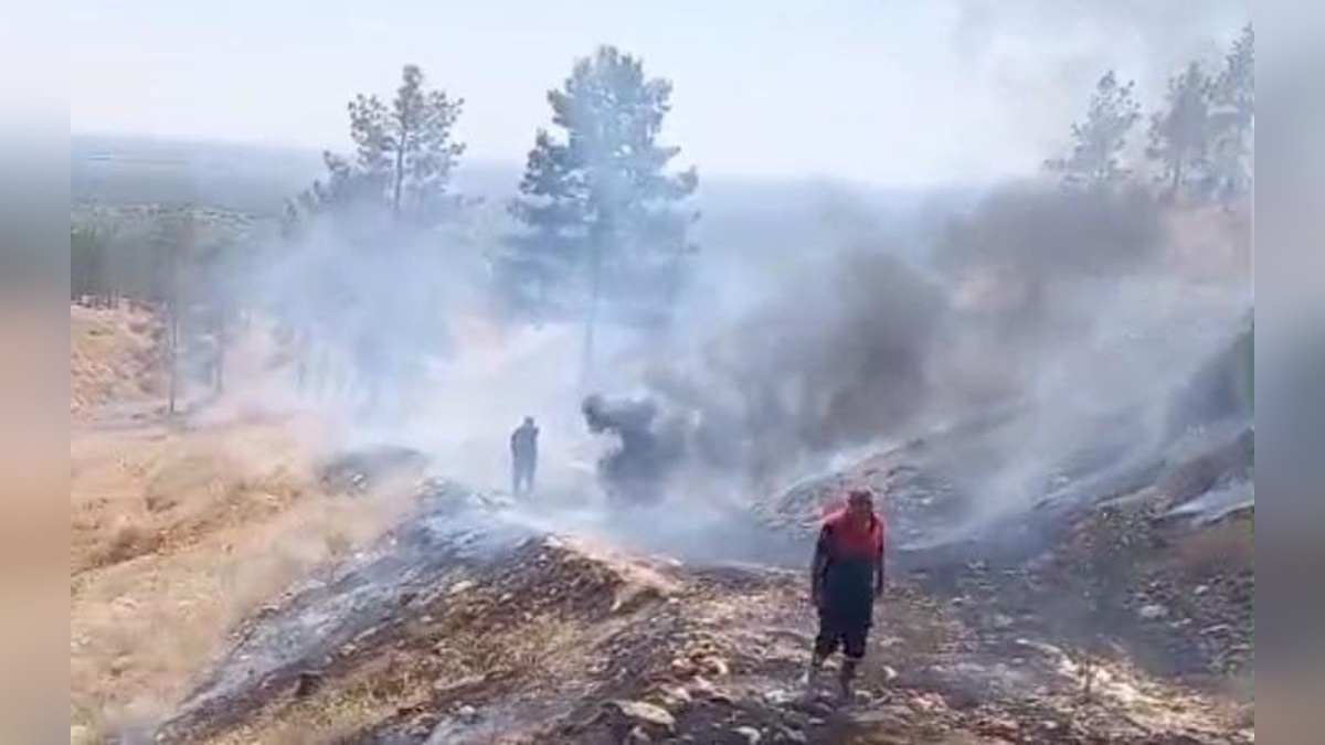 Şanlıurfa'da sigara izmaritleri iki yangına neden oldu