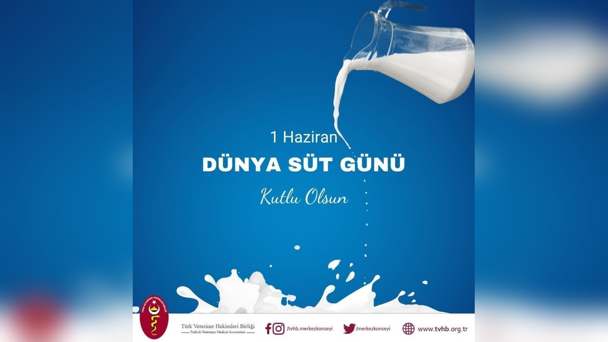 TVHB Başkanı Eroğlu: Süt üretiminde yapısal sorunlar devam ediyor