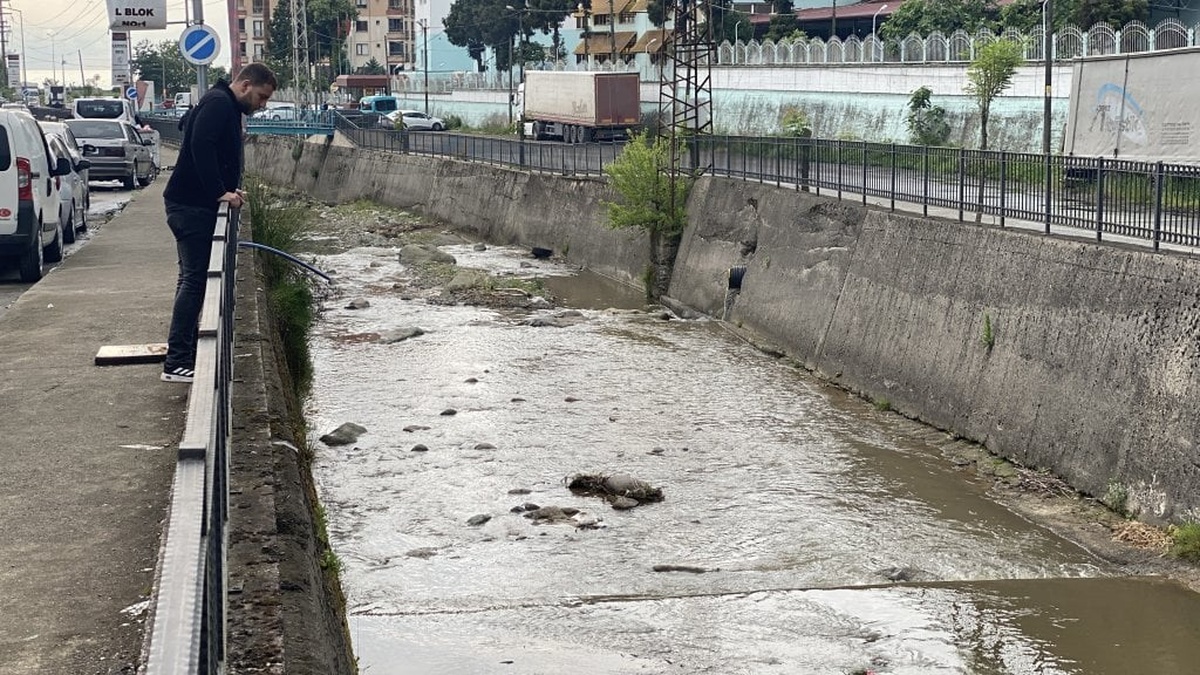 Rize'de derede balık ölümleri: Vatandaş tedirgin