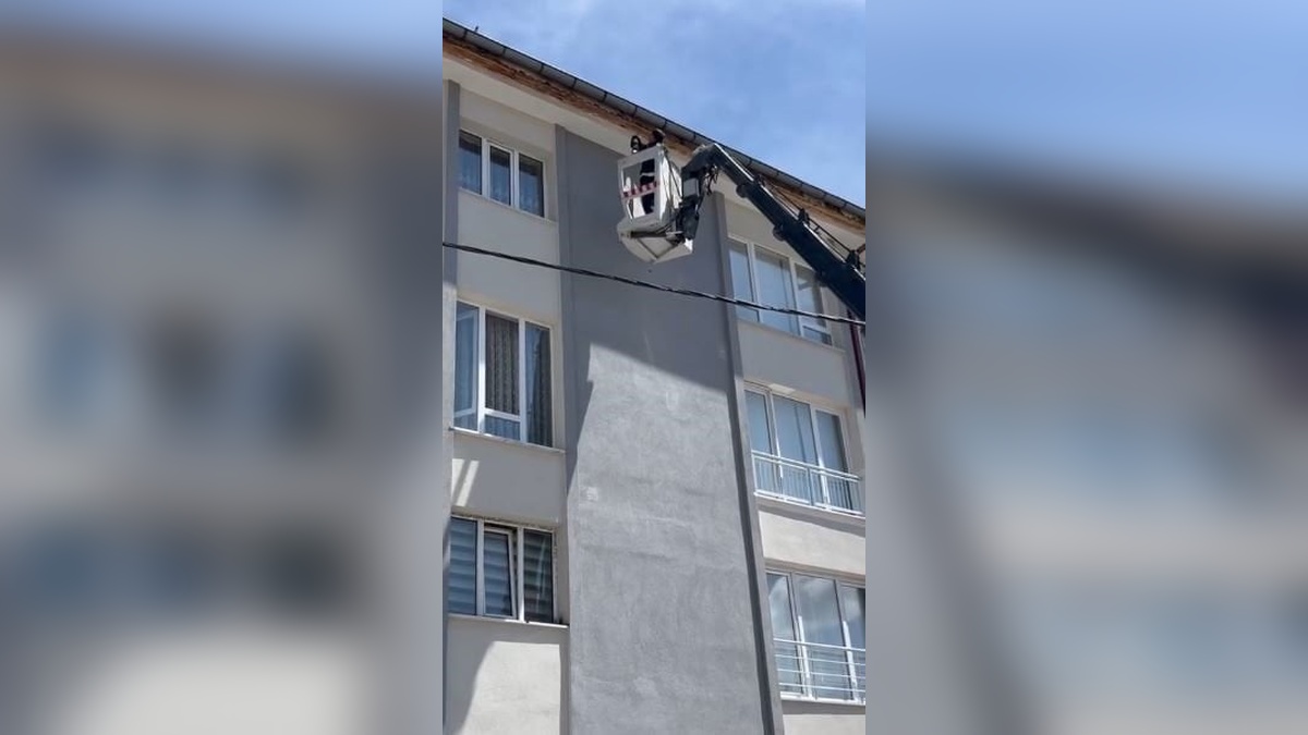 Sivas'ta mahsur kalan kuş, itfaiye tarafından kurtarıldı