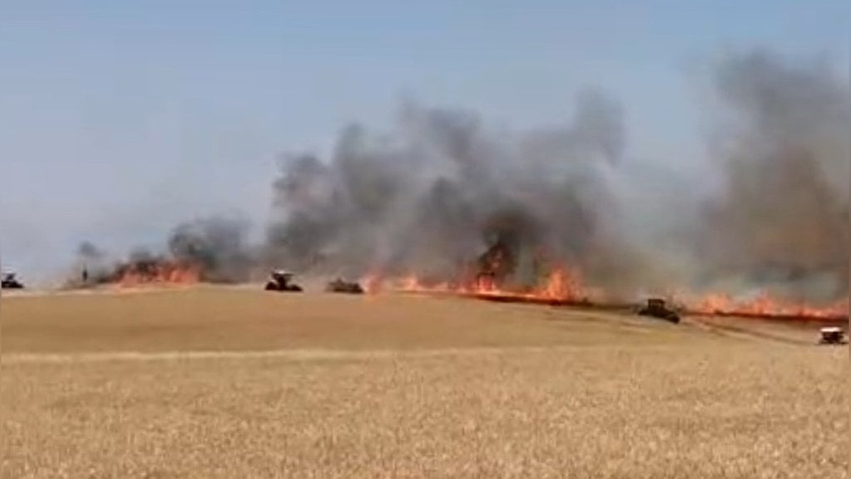 Diyarbakır'da buğday ekili arazide yangın: 120 dönüm zarar gördü