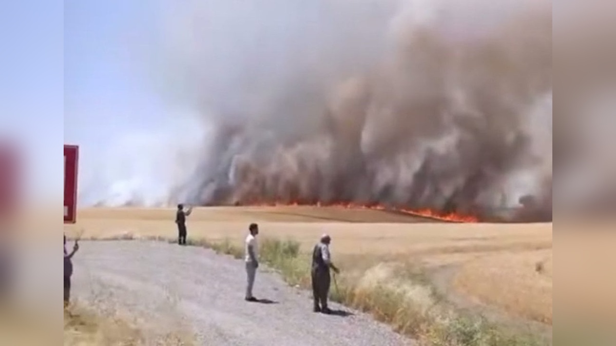 Diyarbakır'da bin dönüm buğday ve arpa kül oldu