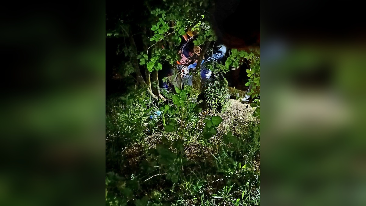 Yalova'da kayıp Mustafa Erdoğdu ormanda ölü bulundu