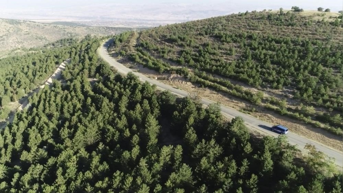 Kırıkkale Valisi Makas: 1 Haziran - 31 Ekim arasında ormanlık alanlara giriş yasağı