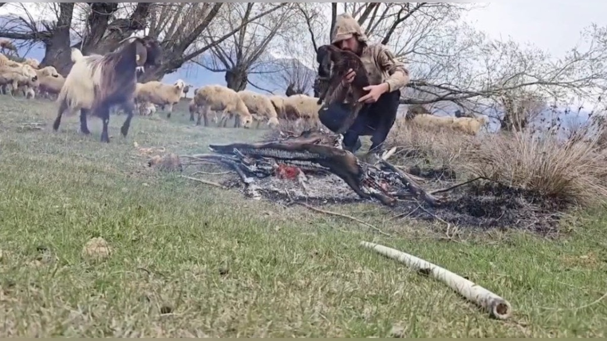 Çayırlı'da çoban Mert Yılmaz, doluya yakalanan oğlağı ateşle ısıttı