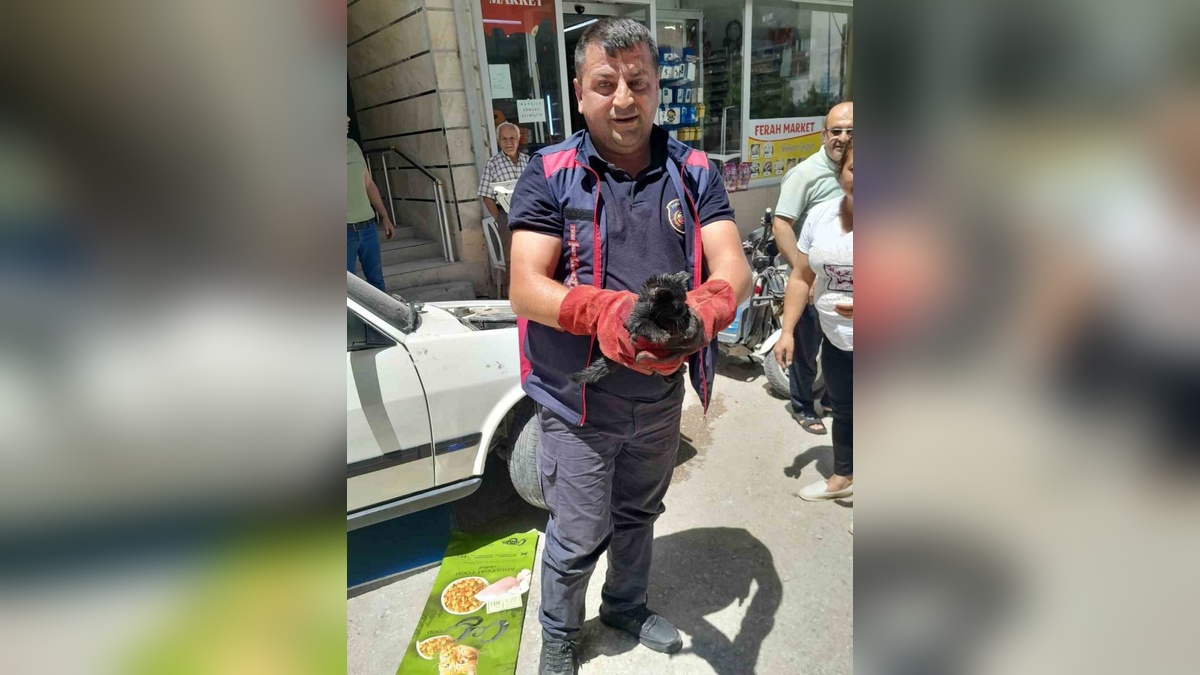 Hatay'da araç motoruna sıkışan kedi itfaiye tarafından kurtarıldı