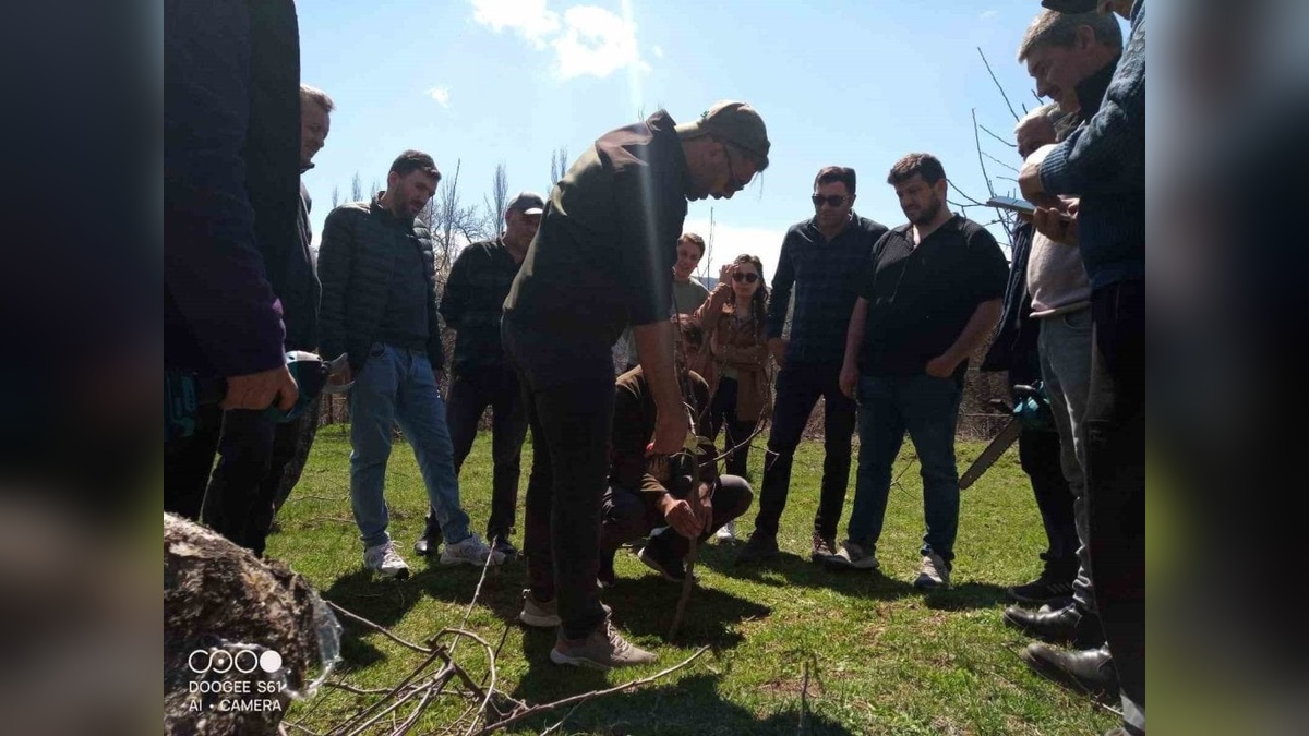Posof'ta 29 kişiye meyve ağaçları budama ve aşılama kursu verildi
