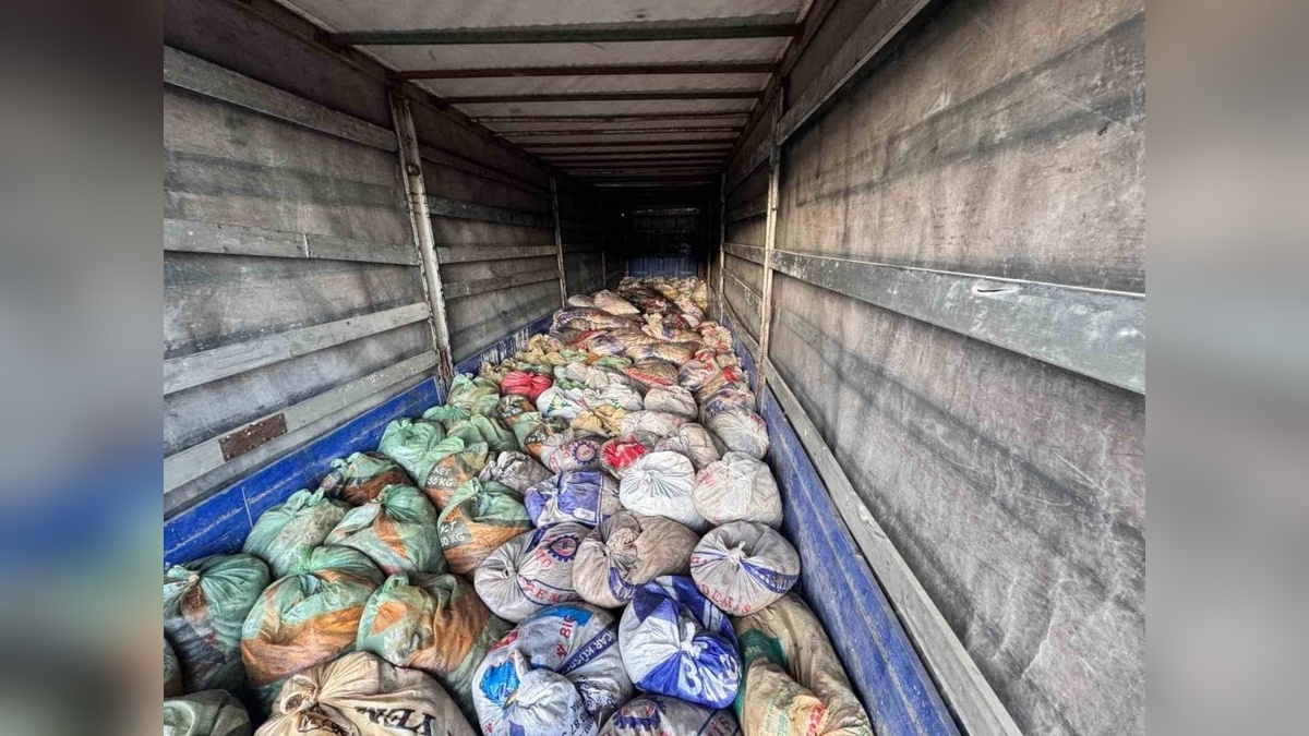 Van jandarması 22 ton kaçak inci kefali ele geçirdi