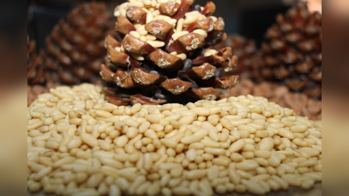 Aydın Çam Fıstığı, AB'de tescillendi