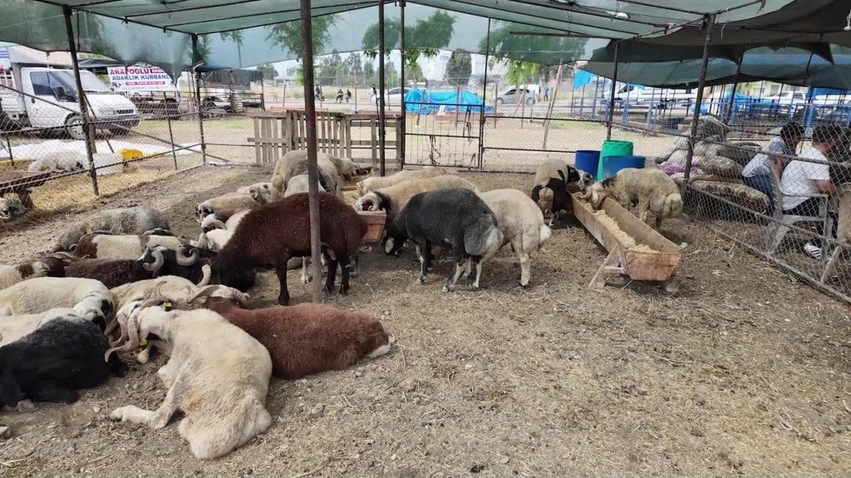 Yüreğir Belediyesi'nden Kurban Bayramı öncesi denetimler