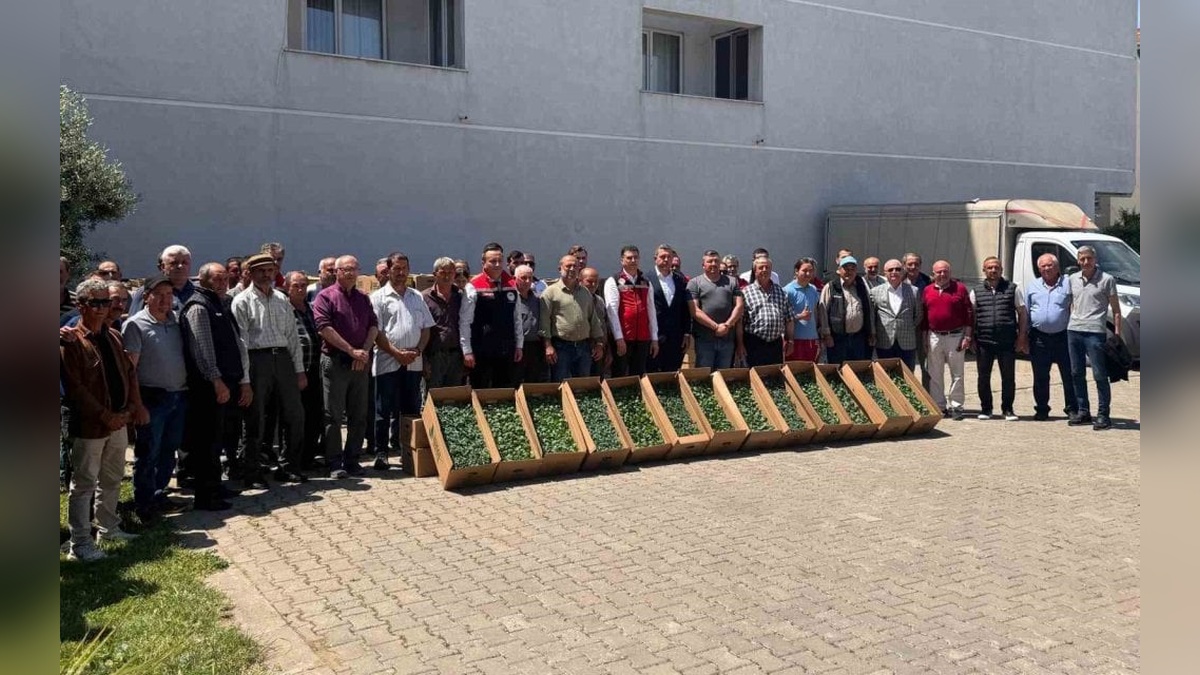 Tekirdağ'da 314 üreticiye 283 bin fide dağıtıldı