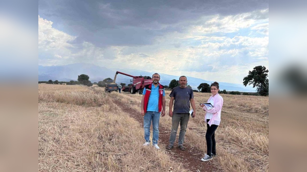 Salihli Ovası'nda hububat hasadı denetimleri başladı