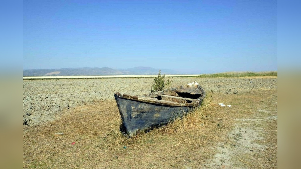 GEMA Vakfı Başkanı Kilimcigöldelioğlu: Marmara Gölü'ne Gördes Barajı'ndan su verilmeli