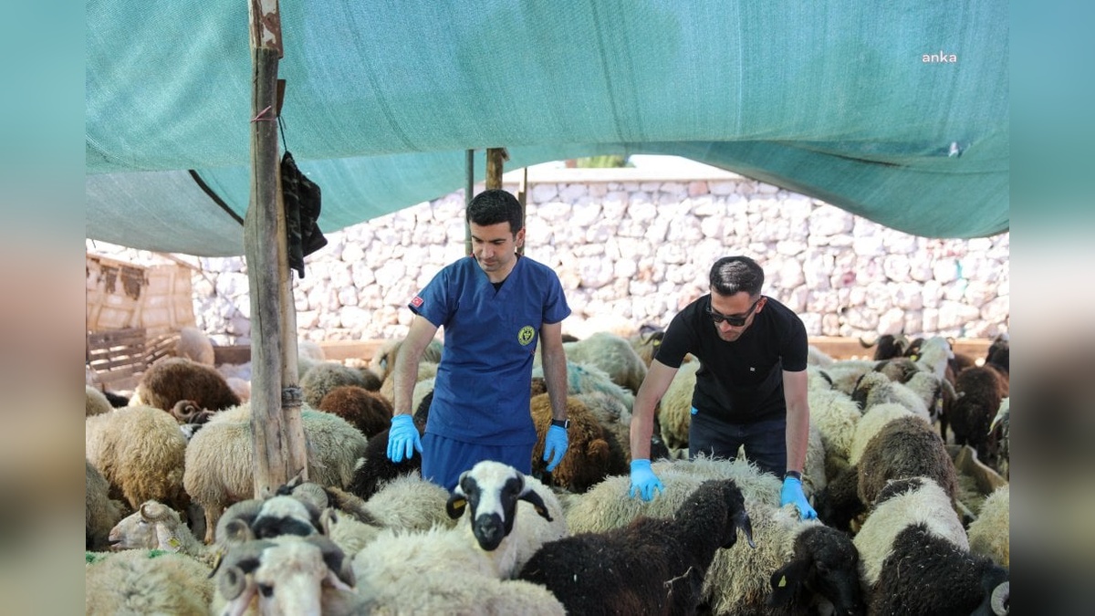 Buca Belediyesi'nden Kurban Bayramı öncesi denetimler